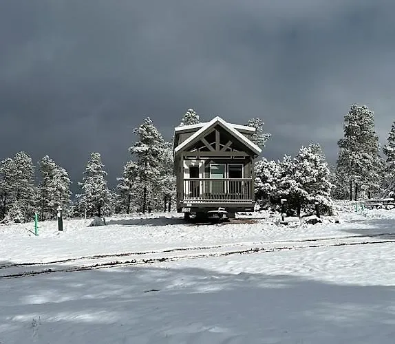 Cozy By Forest View 7b